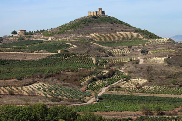 Weinwissen: große spanische Weinanbaugebiete - 